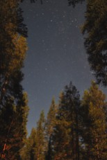 Tuolumne Meadows Night exposure, 2 minutes